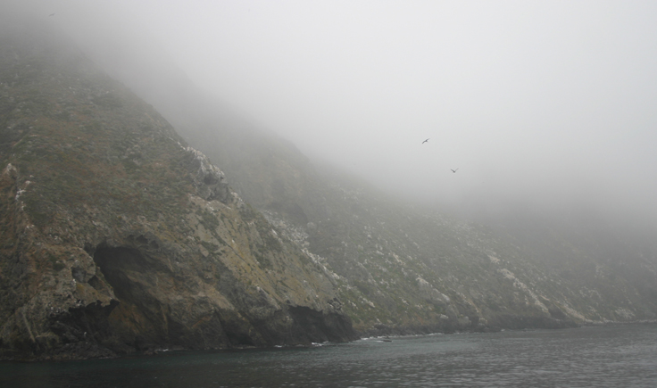Fog Channel Islands